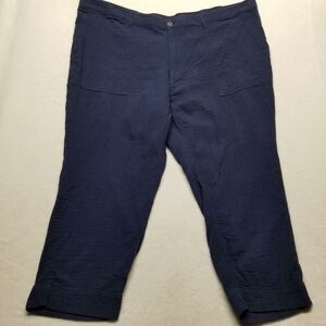 Old Navy 28 Plus Pants Blue Gauze 100% Cotton Elastic Waist Beach Cruise Coastal